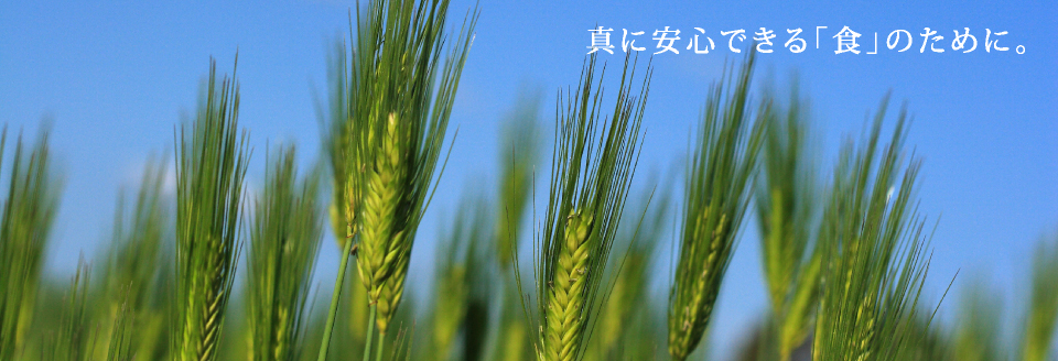 健康を応援します。株式会社 高畑精麦